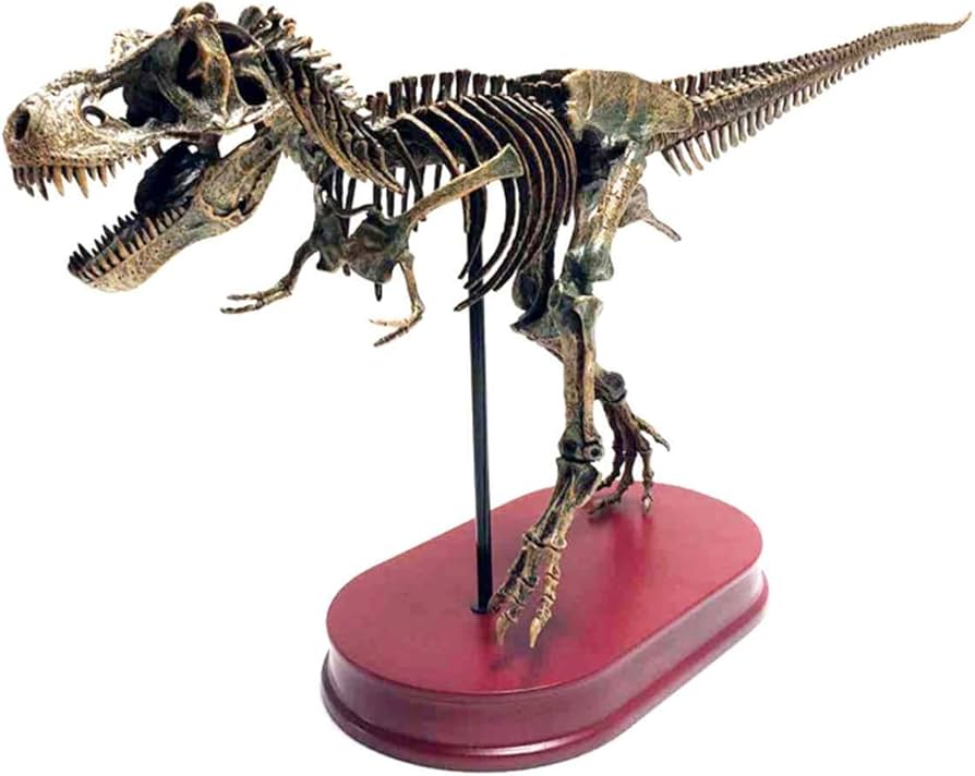 Amazon.co.jp: ティラノサウルススケルトンモデル - 29「恐竜の